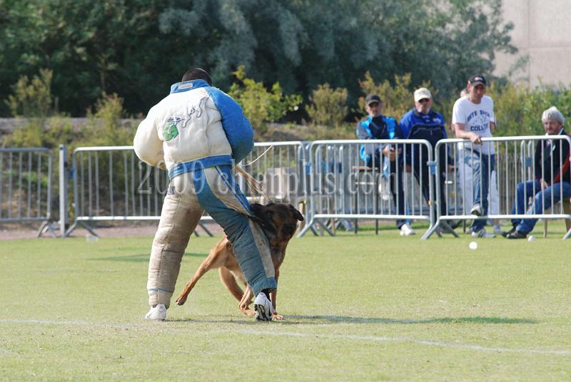 3 EME SELECTIF 2009 GRANDE SYNTHE 741.jpg